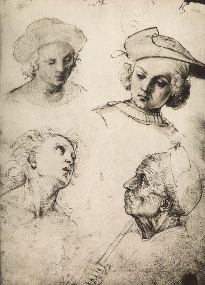 Studio di quattro volti maschili da Raffaello Sanzio Raphael