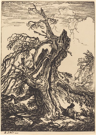 Studio di un albero da Raphael Lamar West