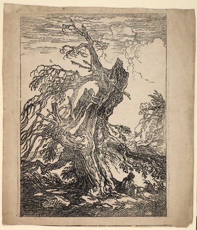 Studio di un albero da Raphael Lamar West