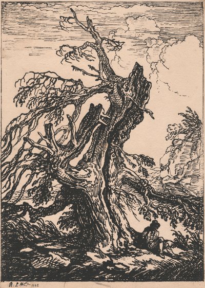 Studio di un Albero da Raphael Lamar West