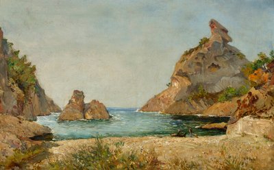 Veduta della cala di Figuerolles, La Ciotat, Bouches du Rhone da Raphael Luc Ponson