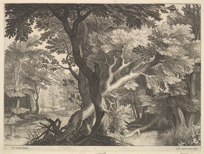 Paesaggio boscoso da Raphael Sadeler