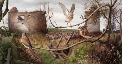 Voli di campo a Eccup, West Yorkshire da Raymond Booth