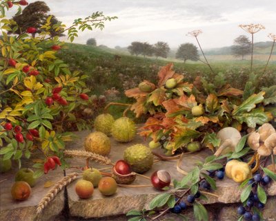 Raccolta selvatica (olio su tavola) da Raymond Booth