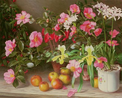 Fiori di novembre da Raymond Booth
