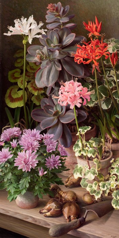 Fiori di ottobre da Raymond Booth