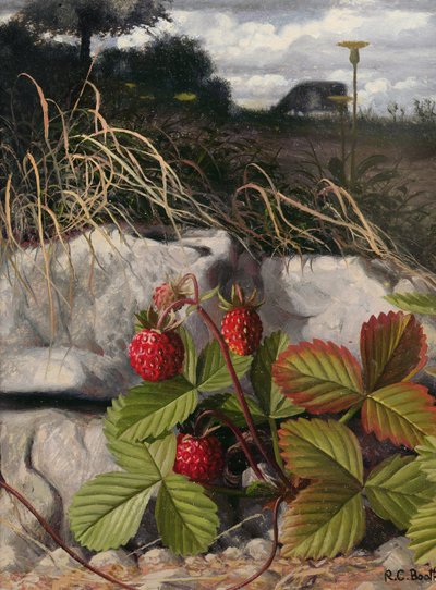 Fragole (olio su pannello) da Raymond Booth