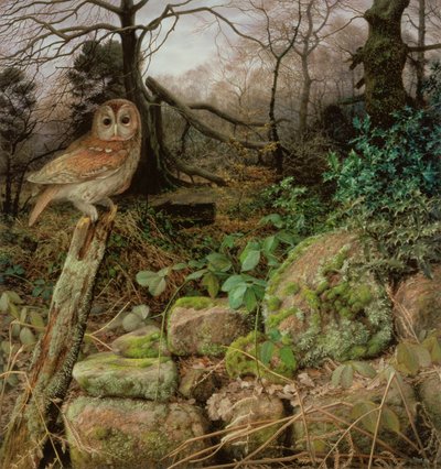 Il bosco selvaggio - Una sera d