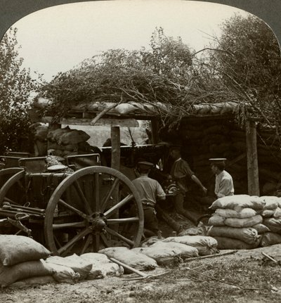 Posizione di artiglieria, Prima Guerra Mondiale da Realistic Travels Publishers