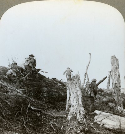 Assalto nel Bosco di Trones, Somme, Francia, Prima Guerra Mondiale, 1916 da Realistic Travels Publishers