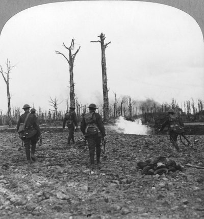 Truppe britanniche che occupano la foresta di Houthulst, Fiandre, Belgio, Prima Guerra Mondiale, c1914-c1918 da Realistic Travels Publishers