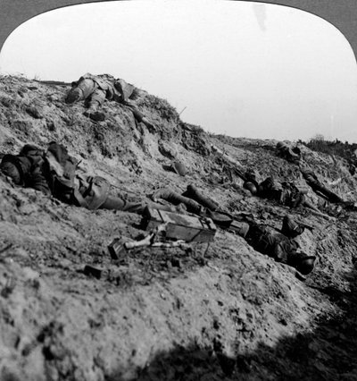 Soldati morti, Vimy Ridge, Francia, Prima Guerra Mondiale, 1914-1918 da Realistic Travels Publishers