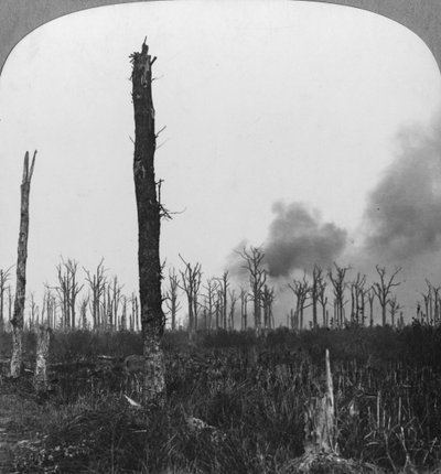 Esplosioni di proiettili ad alto esplosivo a Mametz Wood, Francia, Prima Guerra Mondiale da Realistic Travels Publishers