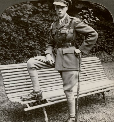 Il Principe di Galles in uniforme militare, Francia, Prima Guerra Mondiale, 1914-1918 da Realistic Travels Publishers