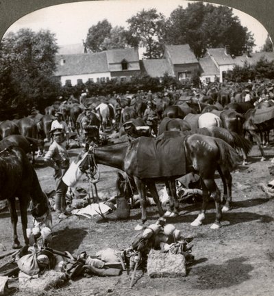 Truppe che nutrono i loro cavalli e riposano durante la marcia, Prima Guerra Mondiale, 1914-1918 da Realistic Travels Publishers