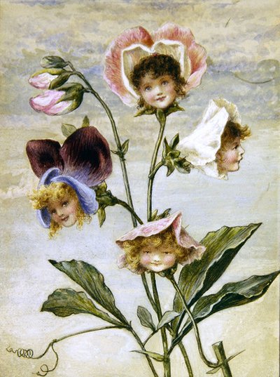 Geranio e Pisello Odoroso - Bambini dei Fiori - una coppia da Rebecca Coleman