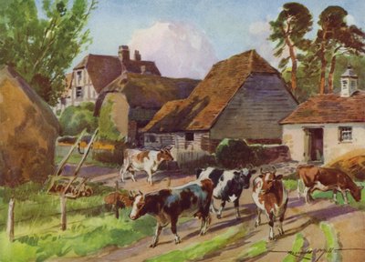 Illustrazione per La Mia Fattoria da Reginald Mills