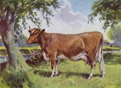 Illustrazione per My Farm da Reginald Mills