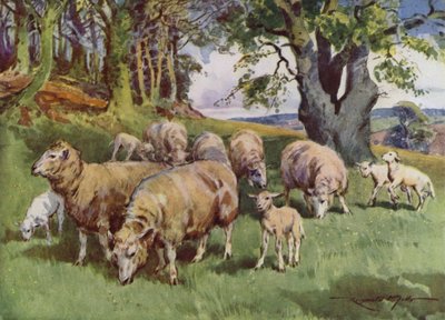Illustrazione per My Farm da Reginald Mills