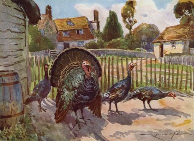 Illustrazione per La mia fattoria da Reginald Mills