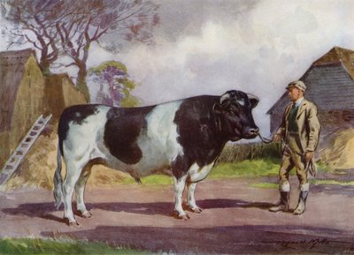 Illustrazione per La mia fattoria da Reginald Mills