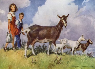 Illustrazione per My Farm da Reginald Mills