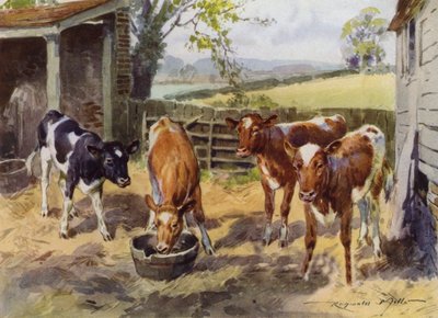 Illustrazione per My Farm da Reginald Mills