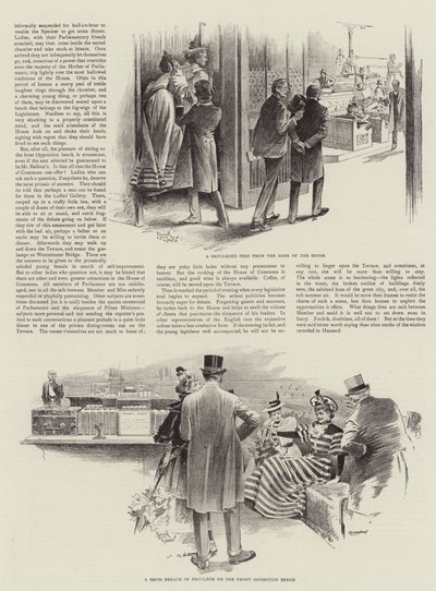 Signora visitatrice alla Camera dei Comuni (litografia) da Reginald Thomas Cleaver