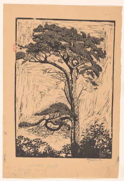 Pino da Reijer Stolk (signed by artist)