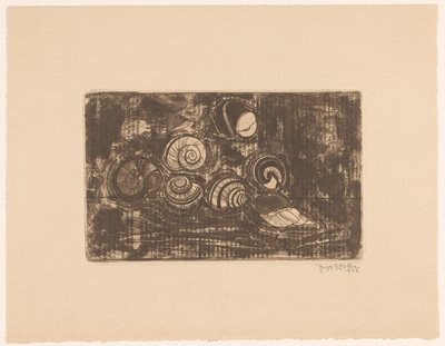 Sette conchiglie da Reijer Stolk (signed by artist)