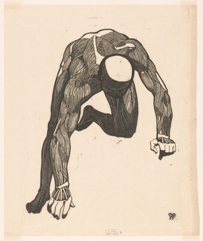 Studio anatomico dei muscoli del collo, del braccio e della gamba di un uomo da Reijer Stolk