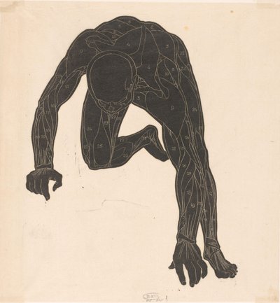 Studio anatomico dei muscoli del collo, del braccio e della gamba di un uomo in silhouette da Reijer Stolk