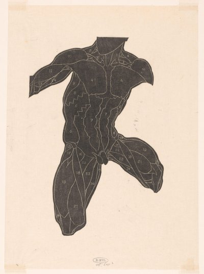 Studio anatomico dei muscoli del collo, dell