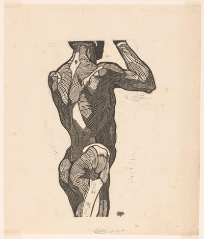 Studio anatomico dei muscoli della schiena e dei glutei di un uomo da Reijer Stolk