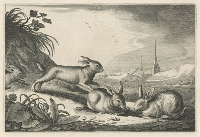 Paesaggio dunale con conigli da Reinier van Persijn