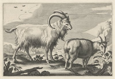 Paesaggio collinare con due capre da Reinier van Persijn
