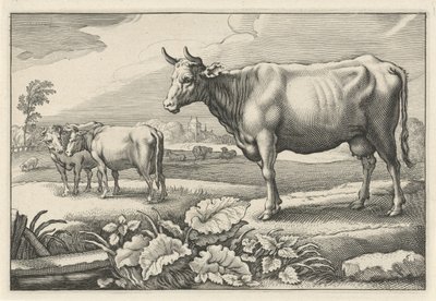 Prato con mucche da Reinier van Persijn