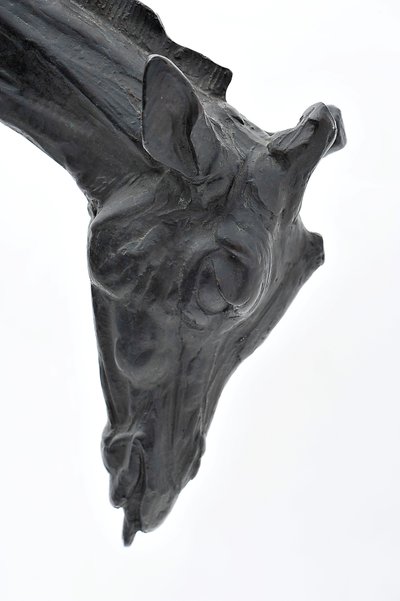 Grande giraffa con testa abbassata, modellata 1909-10, fusa prima del 1913 da Rembrandt Bugatti