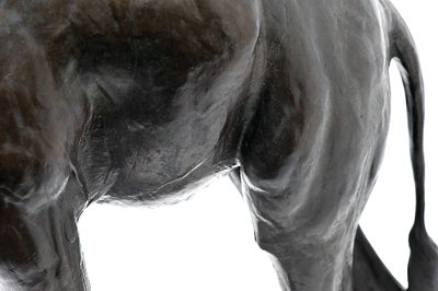 Grande giraffa con testa abbassata da Rembrandt Bugatti