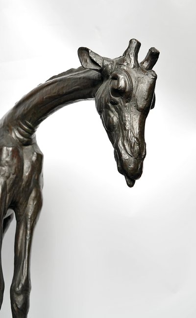 Grande giraffa con testa abbassata da Rembrandt Bugatti