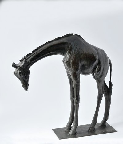 Grande giraffa con testa abbassata, modellata 1909-10, fusa prima del 1913 da Rembrandt Bugatti