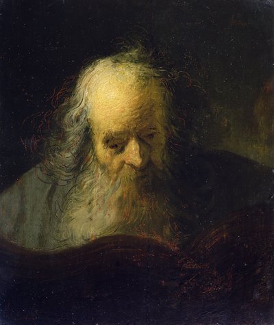 Un Vecchio che Legge un Libro da Rembrandt Harmensz. van Rijn (circle of)