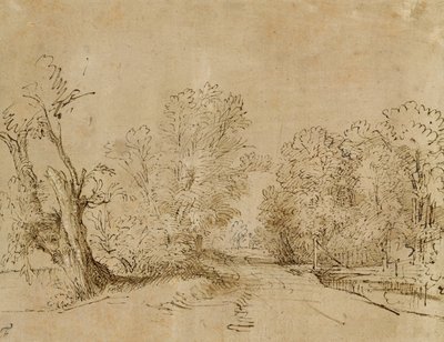 Una strada boscosa da Rembrandt van Rijn