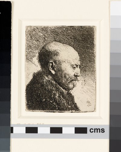 Uomo calvo di profilo a destra: il padre di Rembrandt? da Rembrandt van Rijn