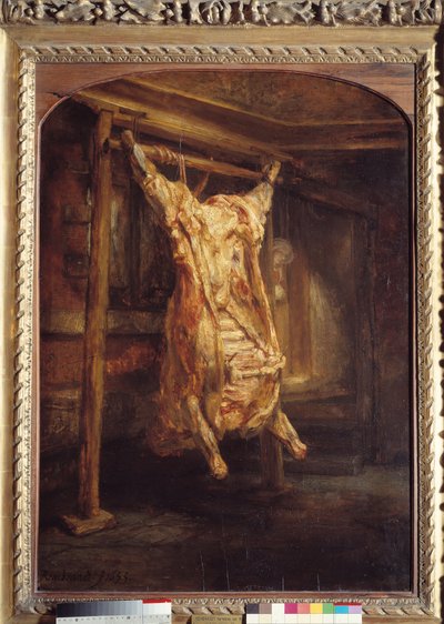 Carcassa di bue. Dipinto di Harmensz Van Rijn Rembrandt (1606-1669) da Rembrandt van Rijn