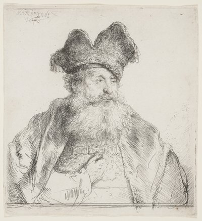 Vecchio con berretto di pelliccia diviso da Rembrandt van Rijn