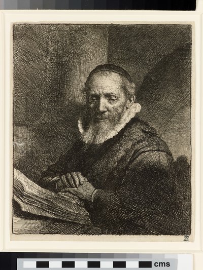 Ritratto di Jan Cornelis Sylvius, predicatore da Rembrandt van Rijn