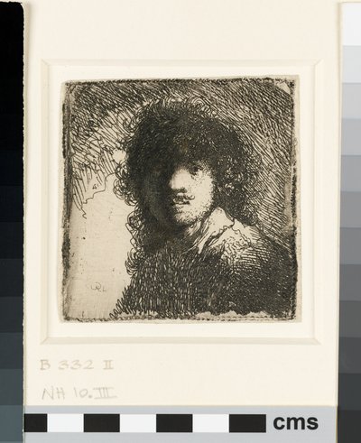 Autoritratto a capo scoperto: busto, c.1629 da Rembrandt van Rijn