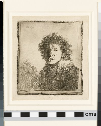 Autoritratto a bocca aperta da Rembrandt van Rijn