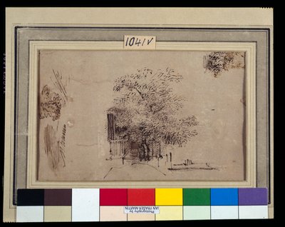 Studio di un albero davanti a una casa da Rembrandt Harmensz. van Rijn